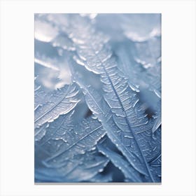 Ice Crystals 1 Canvas Print