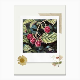 Scrapbook Raspberries Fairycore Painting 1 Canvas Print