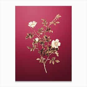 Gold Botanical Pink Hedge Rose in Bloom on Viva Magenta n.0526 Canvas Print