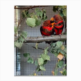 Two Parrots Perched On A Branch Canvas Print