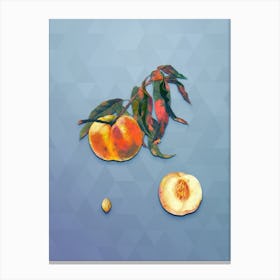Vintage Peach Botanical Art on Summer Song Blue n.0360 Canvas Print