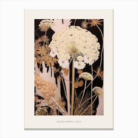 Flower Illustration Queen Annes Lace 1 Poster Canvas Print