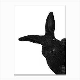 Black Bunny Canvas Print