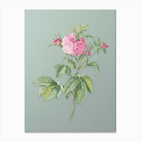 Vintage Pink Agatha Rose Botanical Art on Mint Green n.0035 Canvas Print