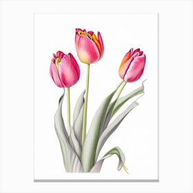 Tulip Floral Quentin Blake Inspired Illustration 4 Flower Canvas Print