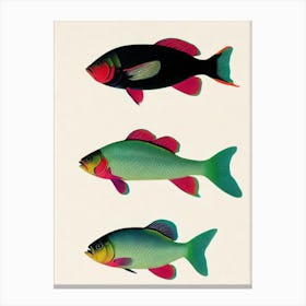 Coral Reef Fish Vintage Poster Canvas Print