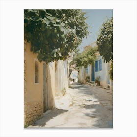 Narrow Street In Crete Canvas Print