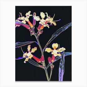 Neon Flowers On Black Statice 1 Canvas Print