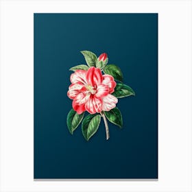 Vintage Japanese Camelia Botanical Art on Teal Blue n.0491 Canvas Print