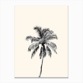 Palm Tree Poster, Summer Beach Wall Art, Tropical Home Decor, Gift For Her, Ocean Sea Theme Canvas Print