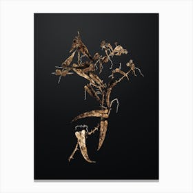 Gold Botanical Rough Bindweed on Wrought Iron Black n.3188 Canvas Print