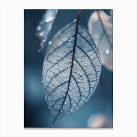 Leaf In Moon Light Canvas Print