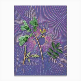 Vintage Pistachio Botanical Illustration on Veri Peri n.0234 Canvas Print