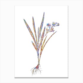 Stained Glass Gladiolus Xanthospilus Mosaic Botanical Illustration on White n.0070 Canvas Print