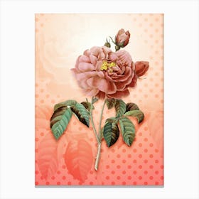 Gallic Rose Vintage Botanical in Peach Fuzz Polka Dot Pattern n.0289 Canvas Print