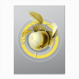 Botanical Snow Calville Apple in Yellow and Gray Gradient n.046 Canvas Print