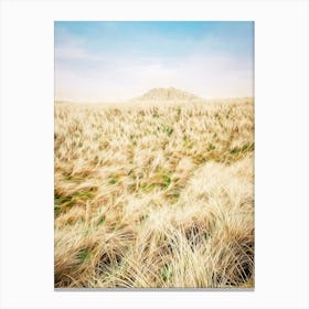 Sand Dune And Beach Fence Canvas Print