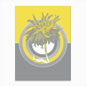 Vintage Kaiser's Crown Botanical Geometric Art in Yellow and Gray n.207 Canvas Print