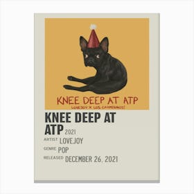 Knee Deep At Atp Lovejoy Canvas Posters Canvas Print