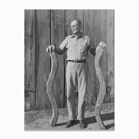 Farmer Of Cajun Origin, Living South Of Crowley, Louisiana, With Oxen Yoke By Russell Lee Canvas Print