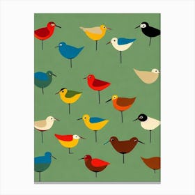 Dunlin 2 Midcentury Illustration Bird Canvas Print