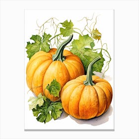 Pie Pumpkin Watercolour Illustration 4 Canvas Print