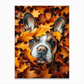 French Bulldog In Autumn Leaves 1 Canvas Print