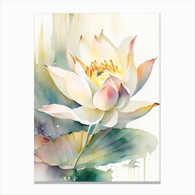 American Lotus Storybook Watercolour 4 Canvas Print