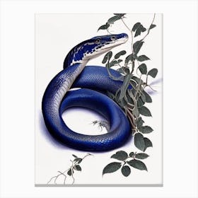Indigo Snake 1 Vintage Canvas Print