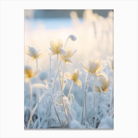 Frosty Botanical Winter Aconite 3 Canvas Print