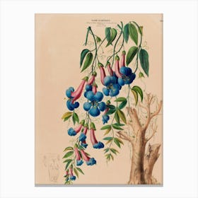 Blue Flowers In A Tree Canvas Print