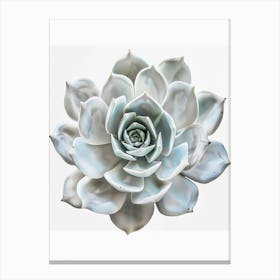 Succulent Flower Canvas Print