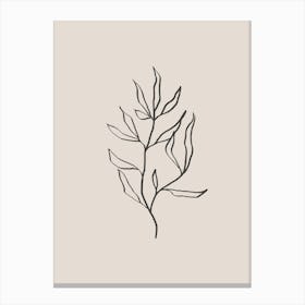 Plant Line Art No 394a Canvas Print