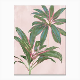 Pink And Green Plant Tropical Pink Diamond Cordylines Canvas Print