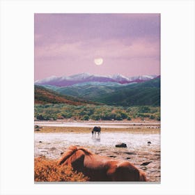 Peaceful Evening In The Nature With Horses Canvas Print
