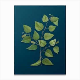 Vintage Paper Birch Botanical Art on Teal Blue n.0051 Canvas Print