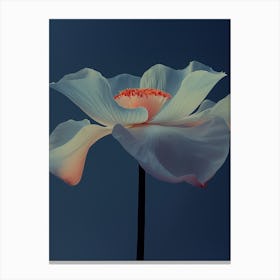 Peony Canvas Print