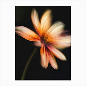 Dahlia Flower 2 Canvas Print