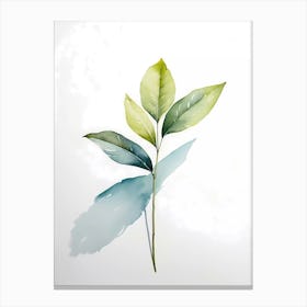 Watercolor Leaf 3 Canvas Print