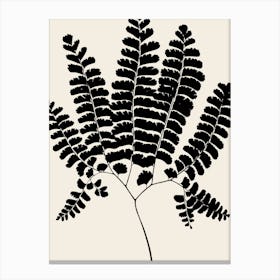 Fern Leaves in Black, Farmhouse Botanical 1 Canvas Print