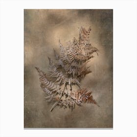 Earthy Ferns 3 Canvas Print