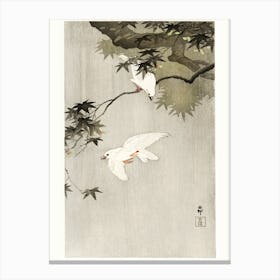 Birds In Rain (1900 1936), Ohara Koson Canvas Print