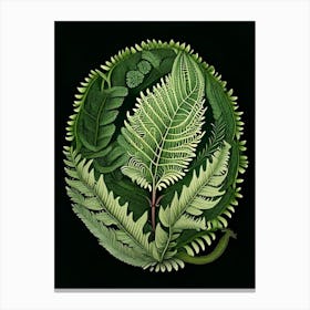 Shield Fern 1 Vintage Botanical Poster Canvas Print