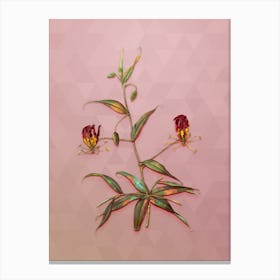 Vintage Flame Lily Botanical Art on Crystal Rose n.0599 Canvas Print