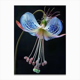 Flora Canvas Print