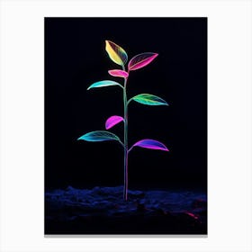 Plant In The Dark 4 Canvas Print