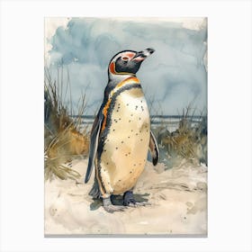 Humboldt Penguin Floreana Island Watercolour Painting 3 Canvas Print