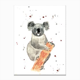 Mr Koala Canvas Print