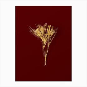 Vintage Witsenia Maura Botanical in Gold on Red n.0178 Canvas Print