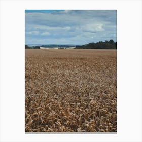 Wheat Field Canvas Print